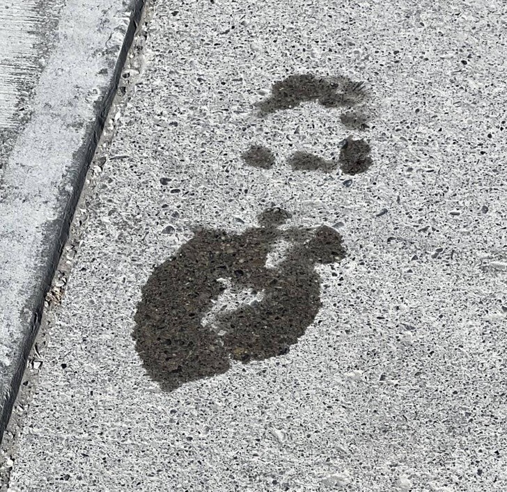Случайный лед ботинка на тротуаре неожиданно образовал портрет Николы Теслы"