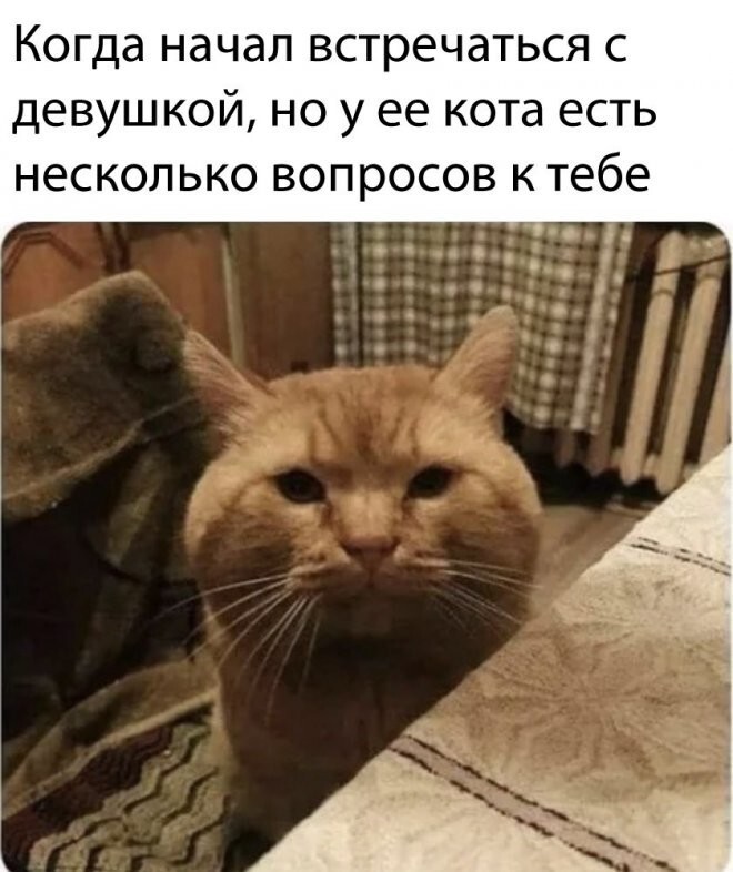 Намешалось