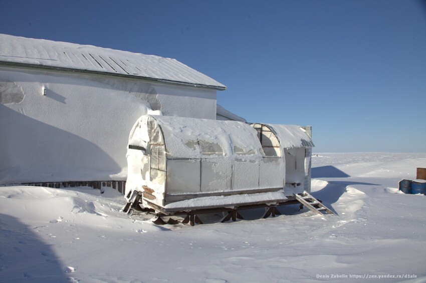 В ледяном просторе: как устроен быт на далекой полярной станции в Арктике