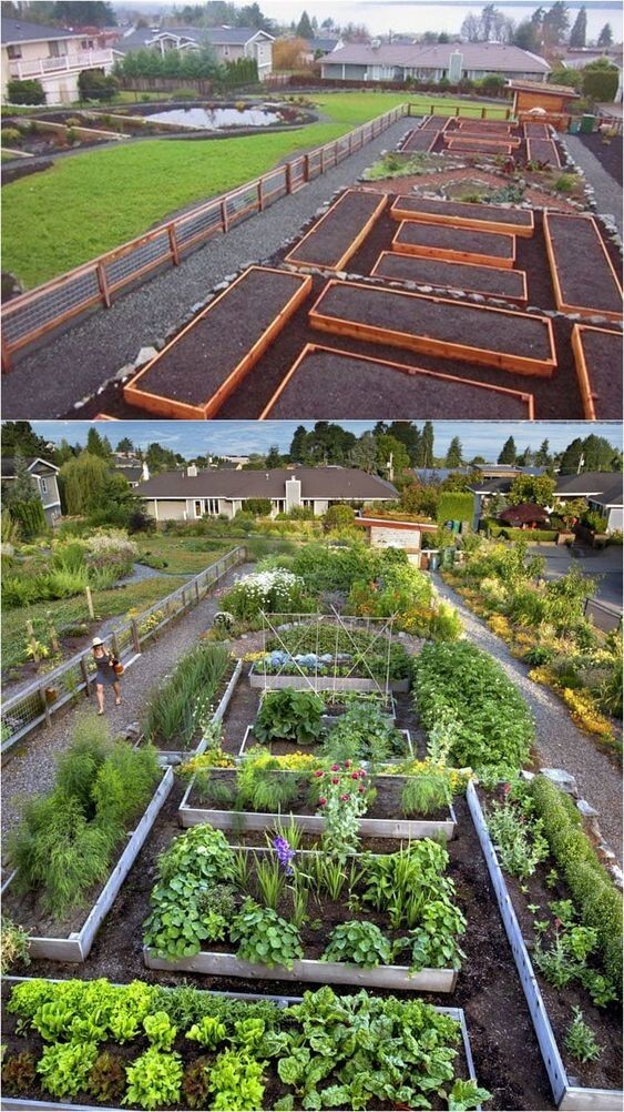 Огородное совершенство: 20 овощных клумб для тех, кто уважает посадки и выращивание