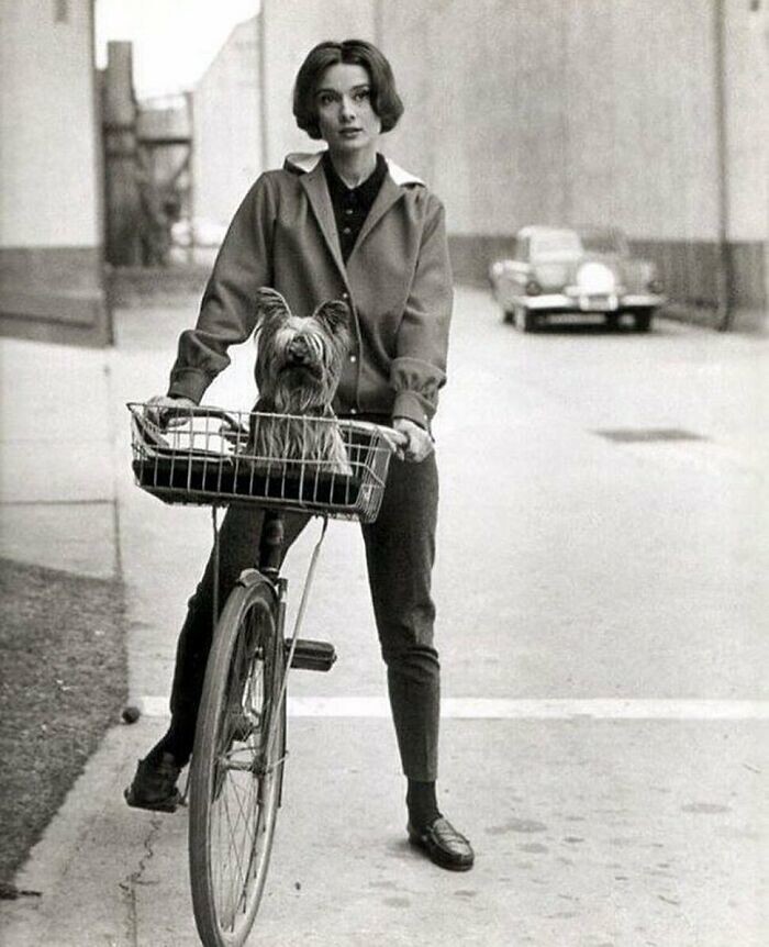 7. Одри Хепбёрн со своим псом по кличке Мистер Знаменитость, фото Сида Эйвери, 1957 год