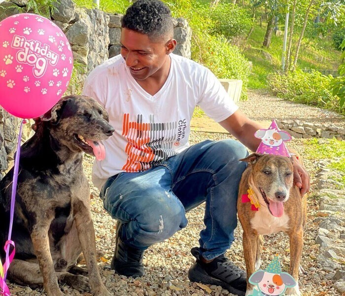 Бездомный мужчина устроил праздник для своих собак - и прославился
