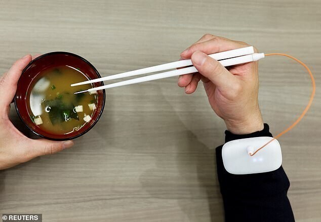 Японцы изобрели палочки, которые заменят соль в блюде
