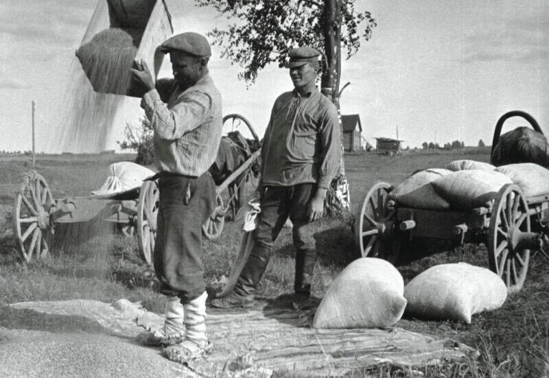 Лапти! Люди в берестяной обуви, сфотографированные с 1860 по... 1992 год