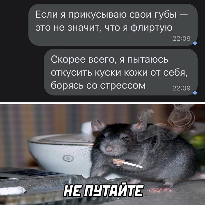 Скрины из соцсетей