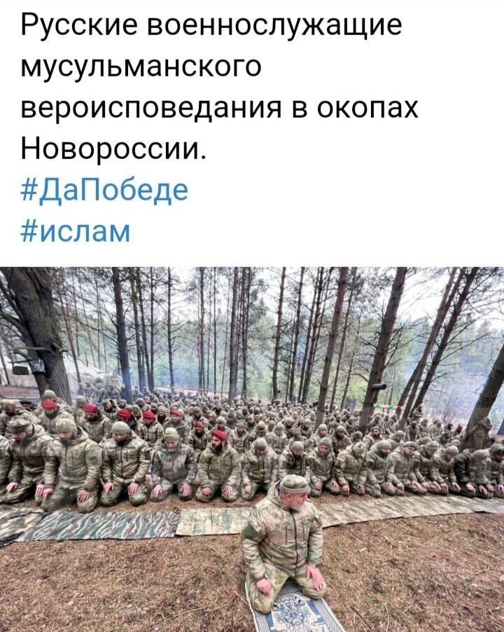 Политота и политический юмор на злобу дня