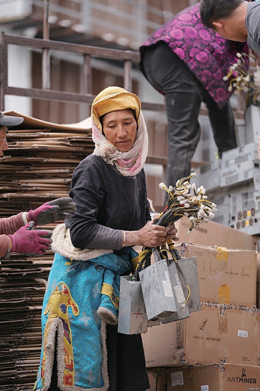 Тибетская женщина с блоками питания для майнинга криптовалют