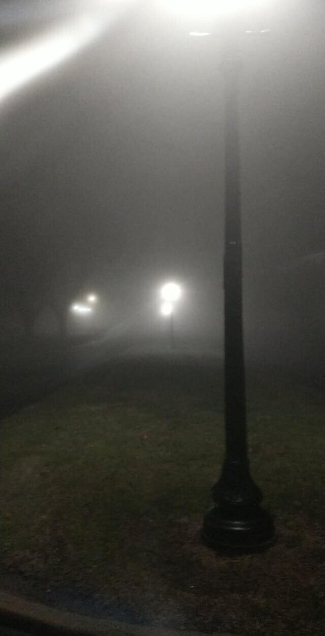 Туманный вечер в нашем городе напоминает фильм ужасов