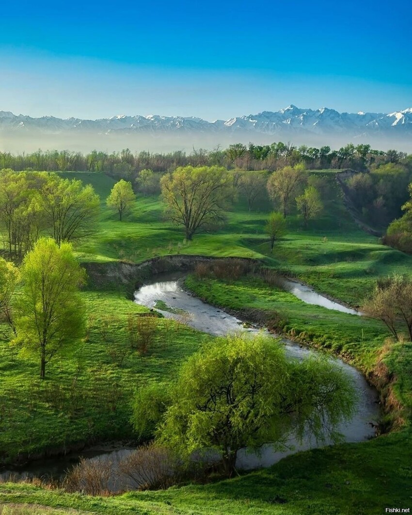 Весенний пейзаж на реке Есентай, Алма-ата