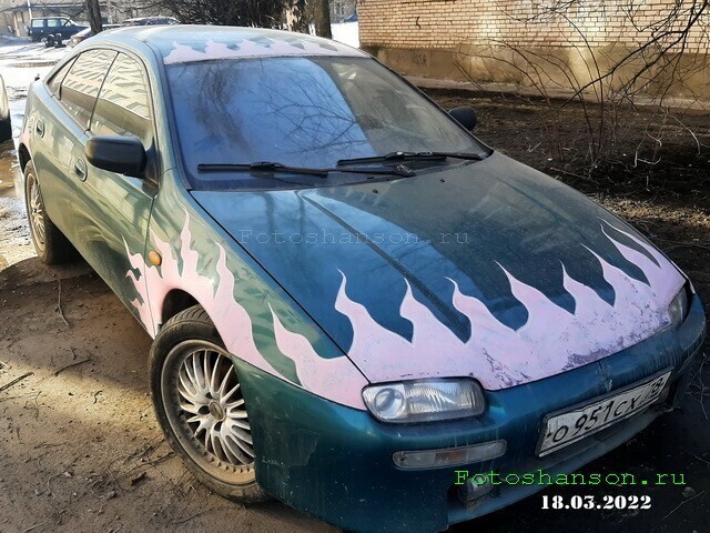 Автовсячина