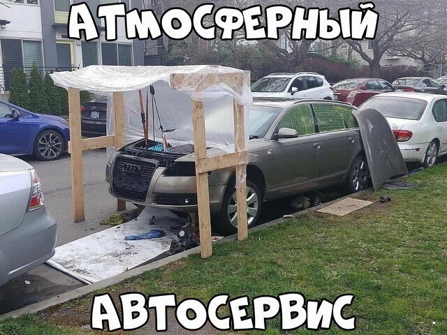 Автовсячина