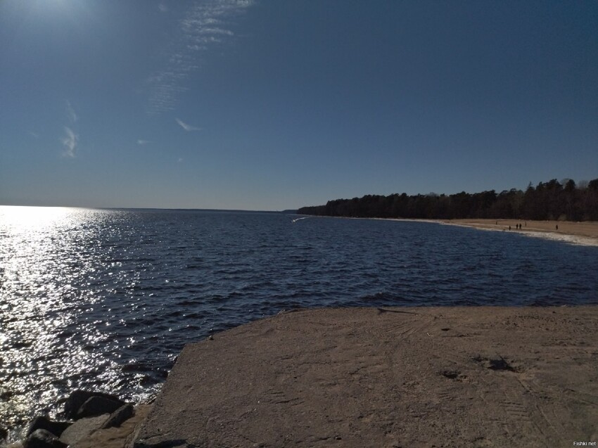 Сегодня отдых на Финском заливе в окрестности Зеленогорска