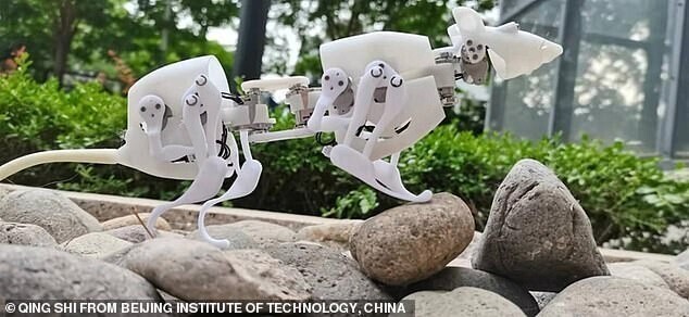 В Китае разработали робота-крысу