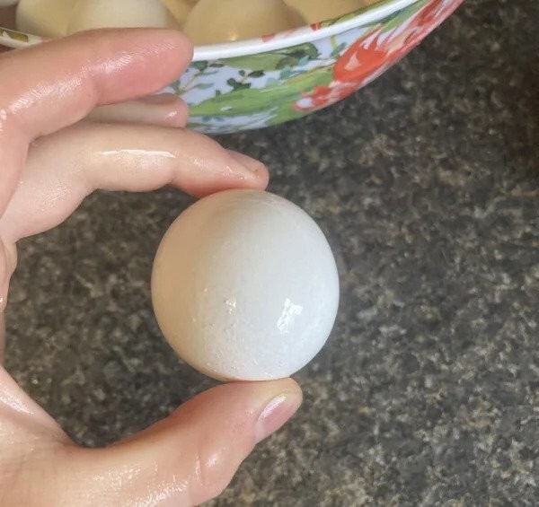 1. "Нашел сегодня утром очень круглое яйцо"