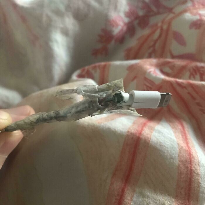 16. "Как выглядит зарядный кабель для iPhone моей девушки, который она отказывается менять, потому что "он работает" 