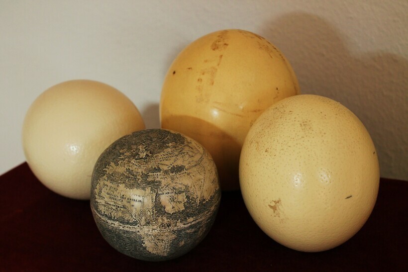 Какие тайны хранит в себе глобус, сделанный из страусиного яйца