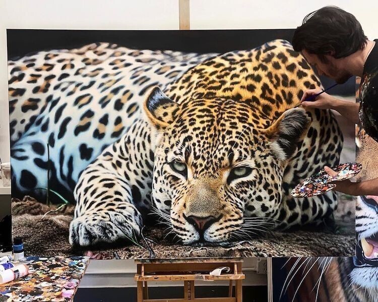 Не отличить от фото: художник рисует реалистичных больших кошек