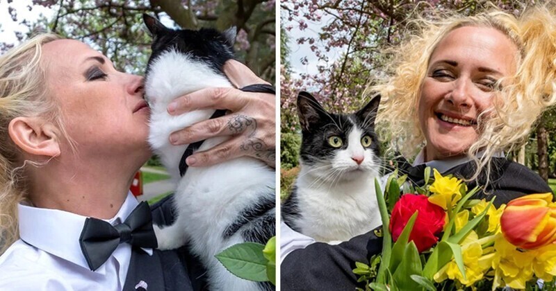 Женщина вышла замуж за кота, чтобы спасти его от выселения