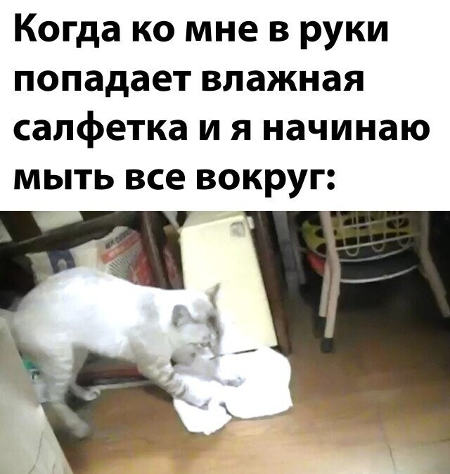 Намешалось