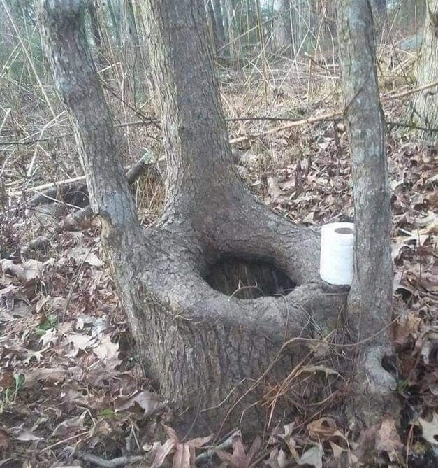 Сельский туалет в лесу