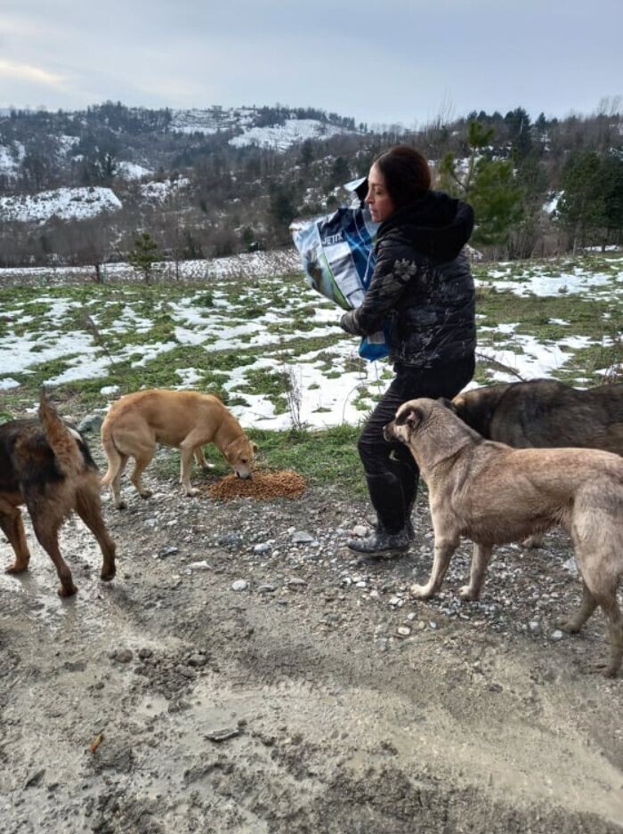 Женщина ухаживает за десятками собак, которые остались без дома