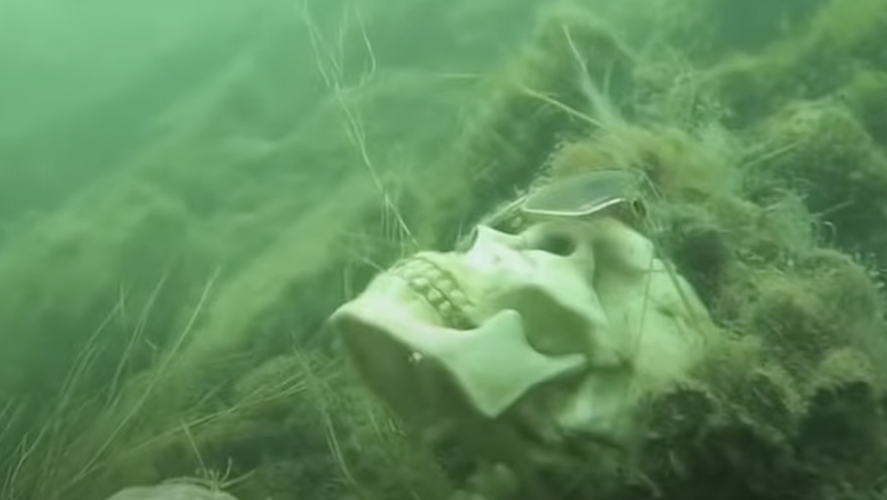Realfishki Net
