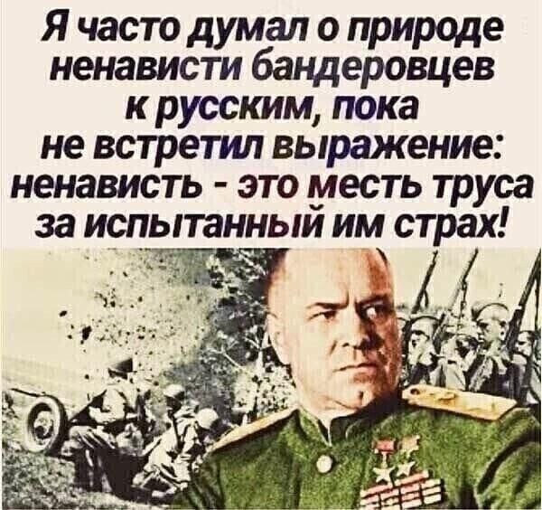 Ненависть, она правит балом в этом царстве