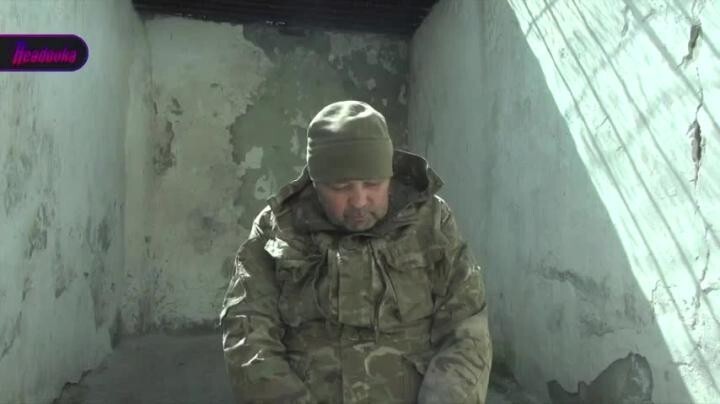 Кроткие откровения «Незнайки» 
