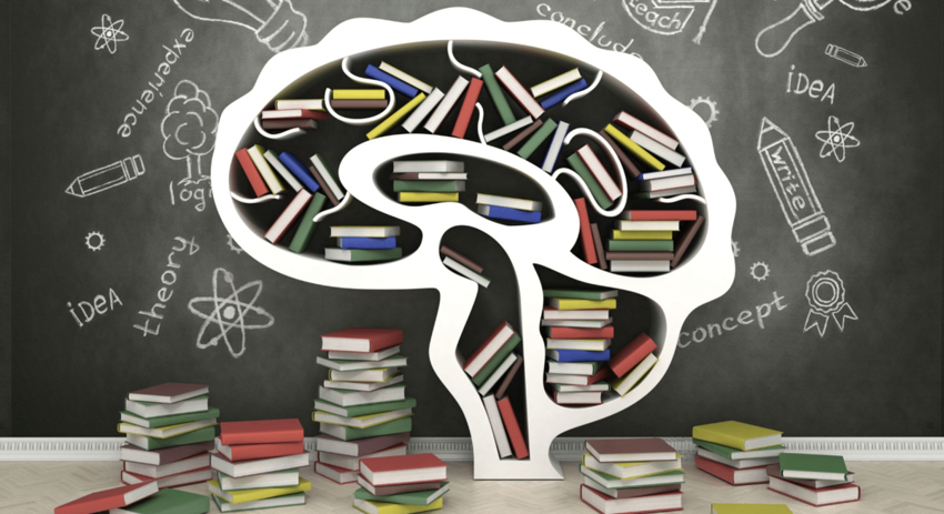 Книги и мозг: почему важно читать художественную литературу?