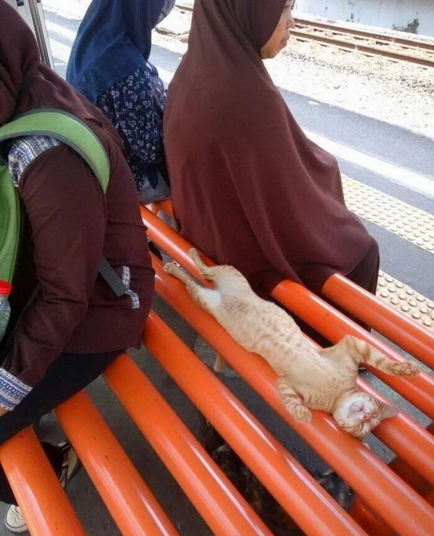 2fc1cc9968bbeee1f951512c9a91990d.jpg.web