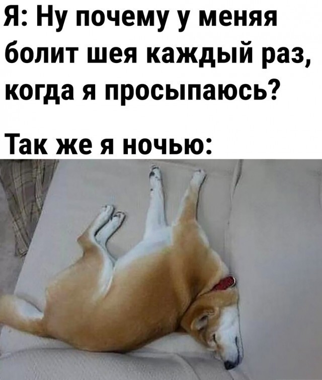 Просто прикольные картинки