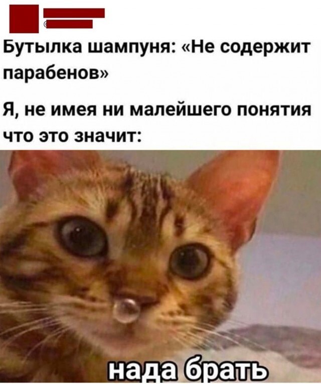 Просто прикольные картинки