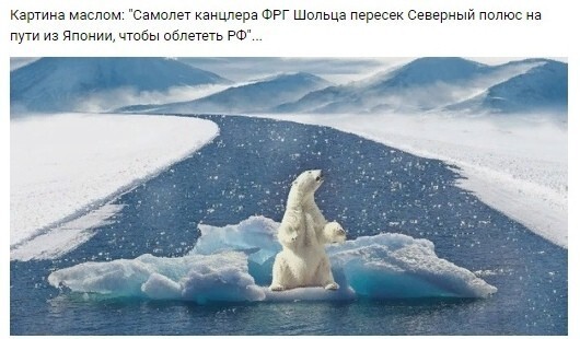 И тут медведи охренели...