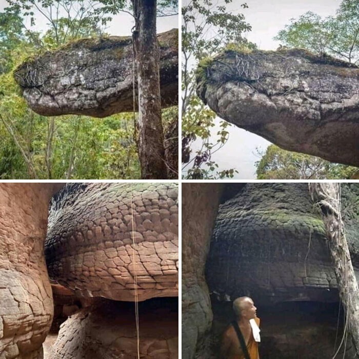 В пещере Нага в Таиланде можно разглядеть змею