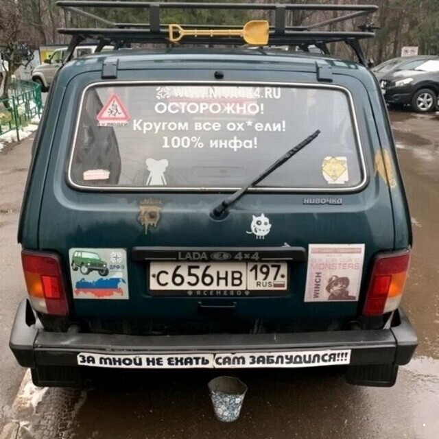 Автовсячина