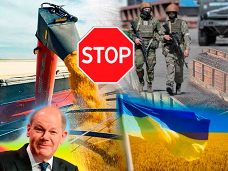 Бесплатный сыр в мышеловке американской помощи