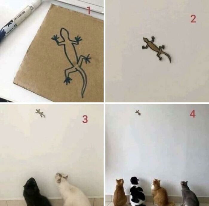 Как завлечь кошек