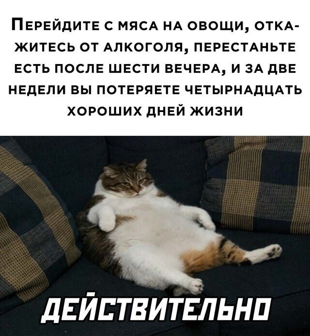 Намешалось