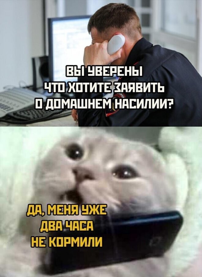 Немного приколов