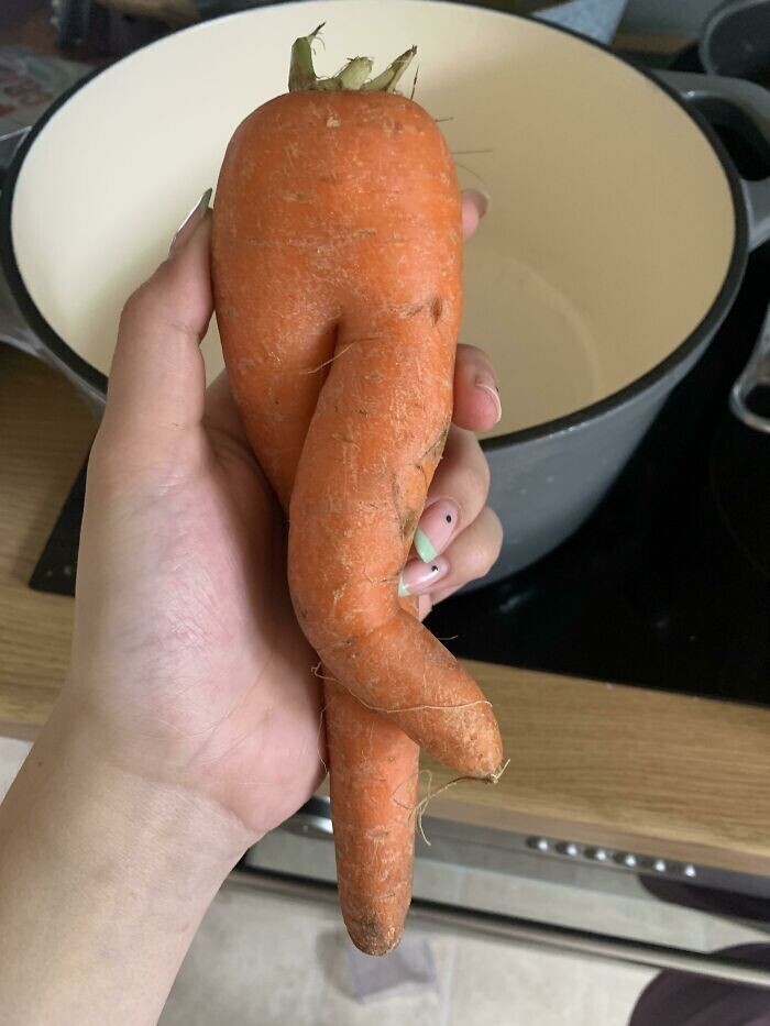23. Игривая морковь