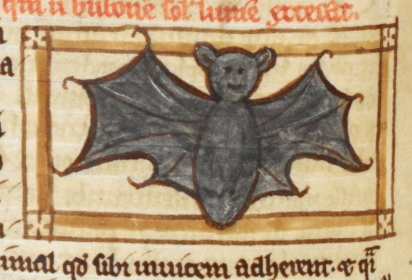 Пожалуй, самое милое изображение летучей мыши в истории. Англия, XIII век