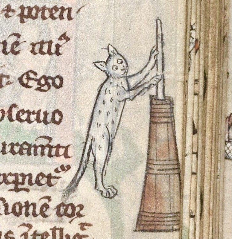 Кошка сбивает масло, Германия, XII век