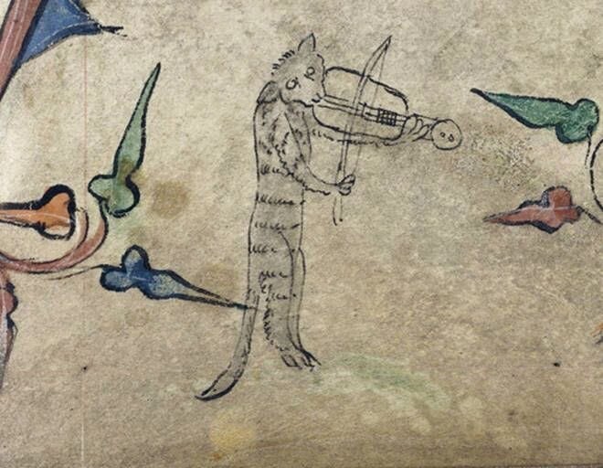 Кот играет на скрипке, Англия, XIV век