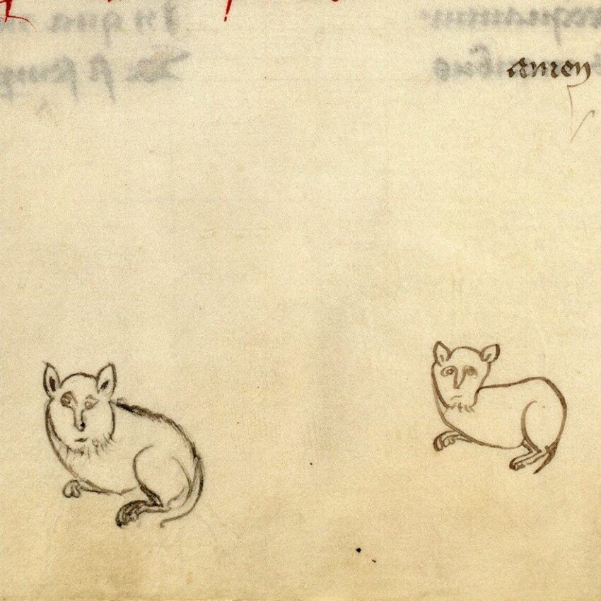 Наброски кошек, аббатство Сен-Дени, XV век