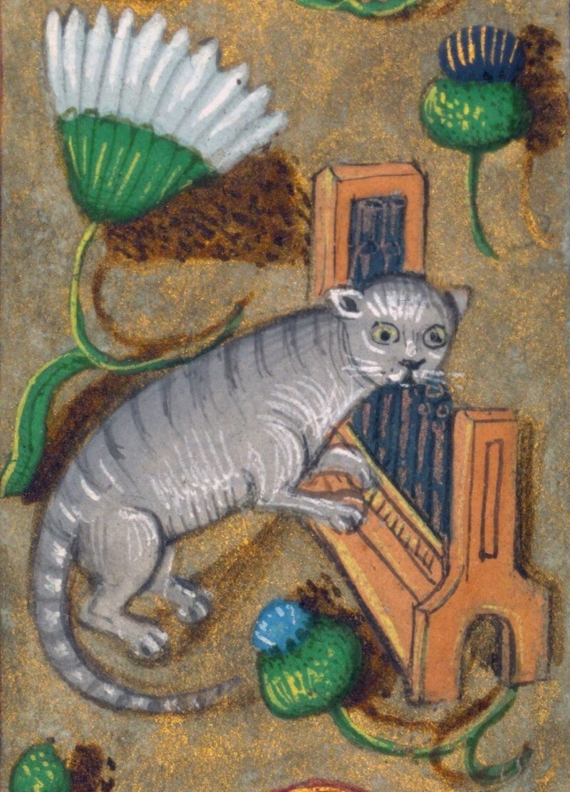 Кошка играет на органе, XV век