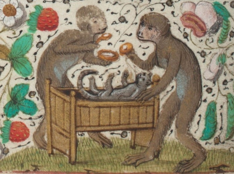 Обезьяны ухаживают за котенком, Фландрия, XV век