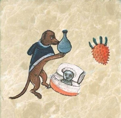 Собака лечит прикованную к постели кошку от "меланхолии" (источник неизвестен, примерно XII век)