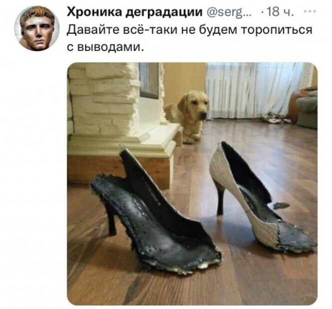 Смешные и познавательные картинки