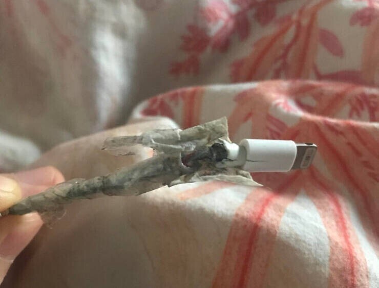«Моя девушка заряжает iPhone с помощью этого кабеля и отказывается его менять  -  он же работает»
