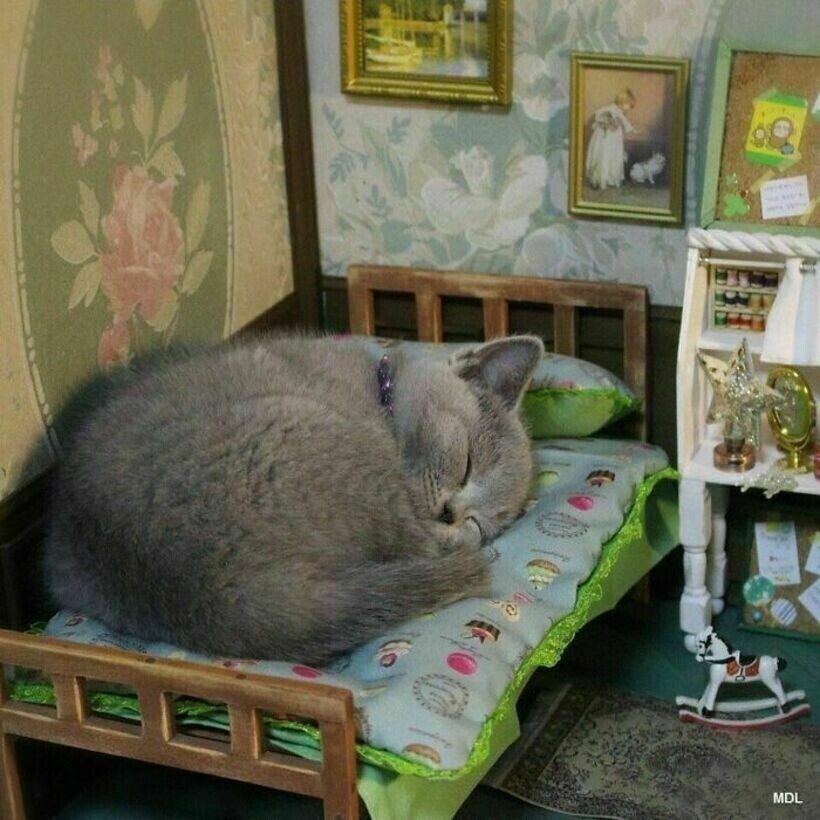 Кукольная кроватка для милого котика